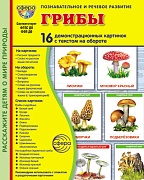 Дем. картинки СУПЕР Грибы. 16 демонстрационных картинок с текстом В ПАПКЕ (173х220 мм)