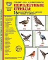 Дем. картинки СУПЕР Перелетные птицы. 16 демонстрационных картинок с текстом В ПАПКЕ (173х220 мм)